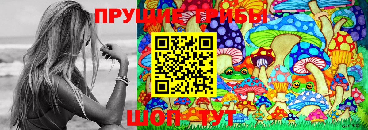 Галлюциногенные грибы Cubensis  Вход с VPN  Тулун 